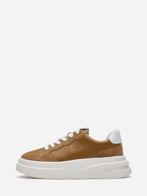 ASH Impuls Lave Sneakers Dame Brune Hvite | TGHRY9840