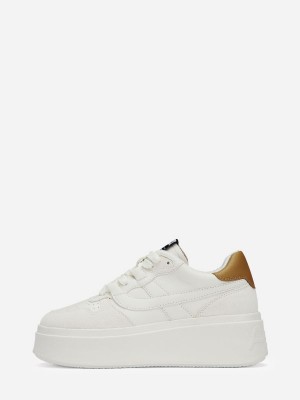 ASH Match Lave Sneakers Dame Hvite Brune | FNMOE6208