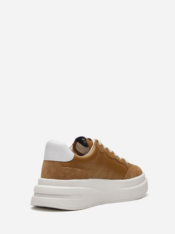 ASH Impuls Lave Sneakers Dame Brune Hvite | TGHRY9840